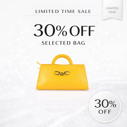 Lucia Women's Handbag